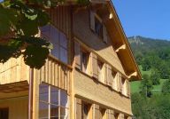 Wohnhaus Natter, Mellau